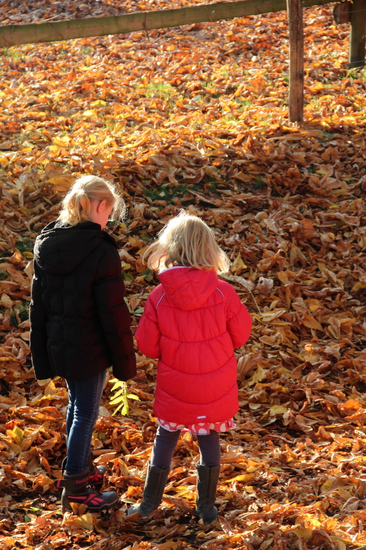 Blätter sammeln mit Kindern im Herbst