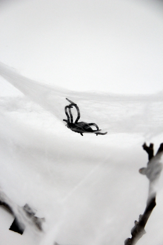Spinne im Netz - Gruselparty Dekoration