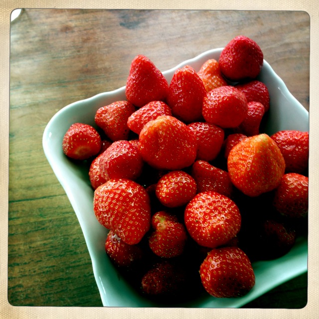 lecker Erdbeeren