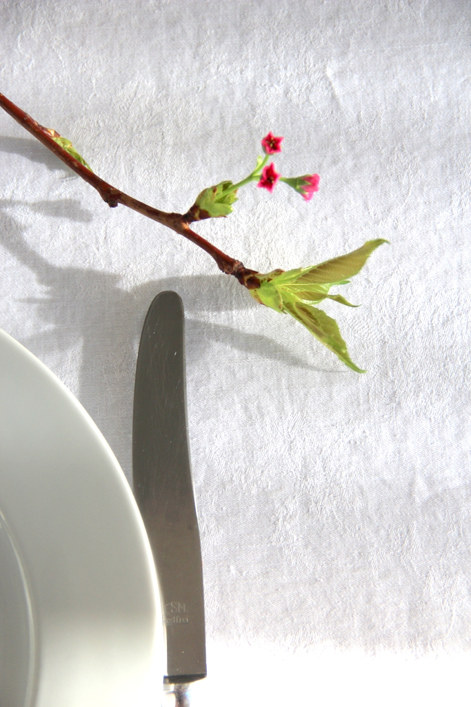 Kirschblütenzweig als Tischdekoration