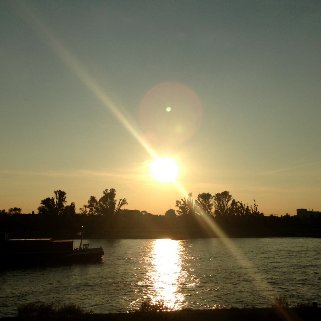 Sonnenuntergang am Rhein #freezeplease - Rheinwiesen Düsseldorf