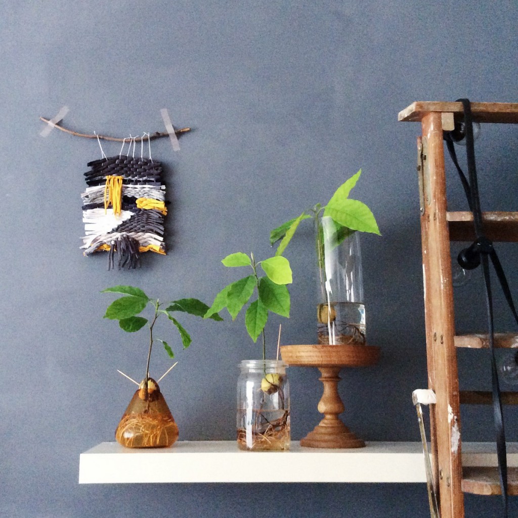 Pflanzen und Textilkunst_wallhanging